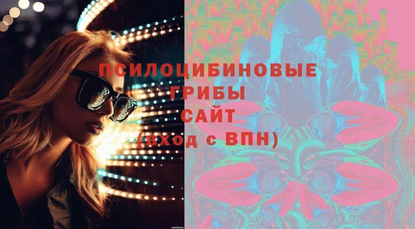 первитин Дмитров