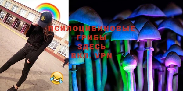 соль ск Дмитровск