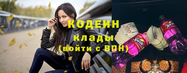 соль ск Дмитровск