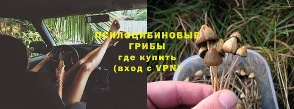соль ск Дмитровск