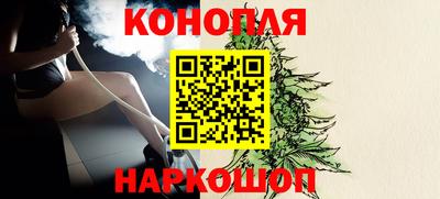 СК Гагарин