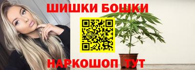ALPHA PVP Гай