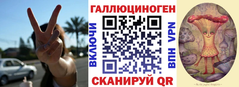 Галлюциногенные грибы Psilocybine cubensis Междуреченск