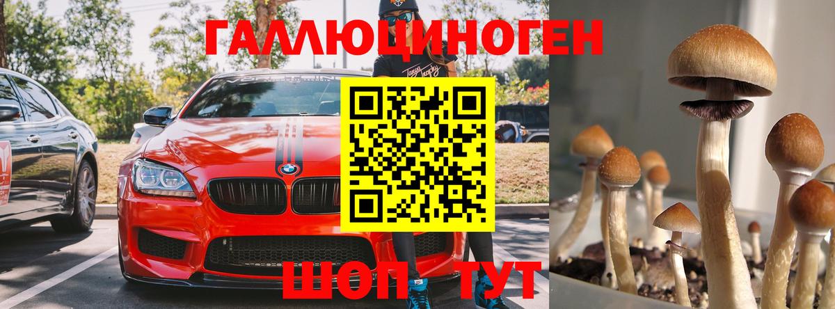 Галлюциногенные грибы мицелий  Междуреченск  Галлюциногенные грибы Cubensis 