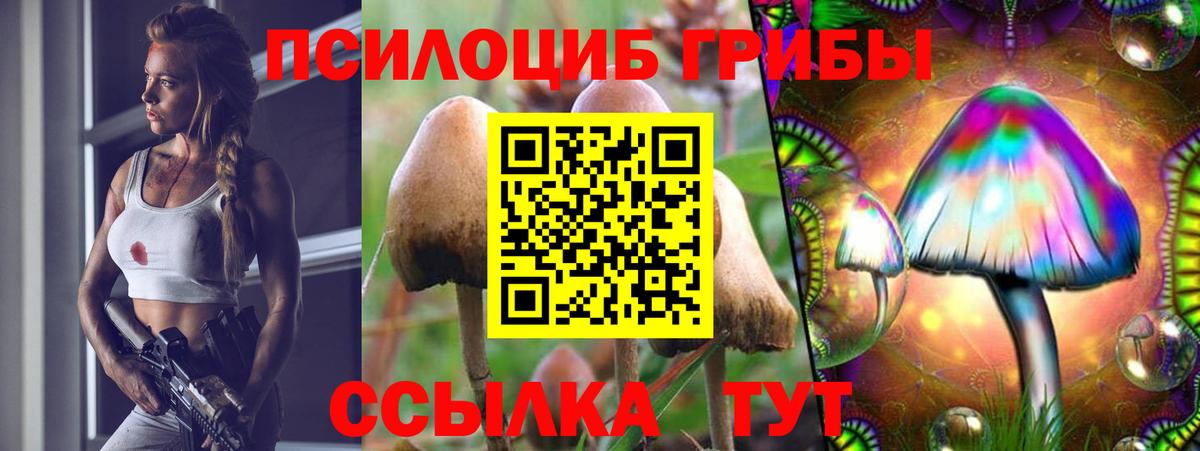 Междуреченск  Псилоцибиновые грибы MAGIC MUSHROOMS  Вход с VPN 